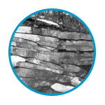 TEM Application Example