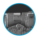 TEM Application Example